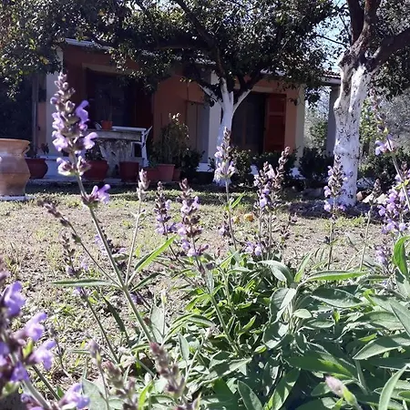 Διαμέρισμα Anthoula's Garden Perivoli